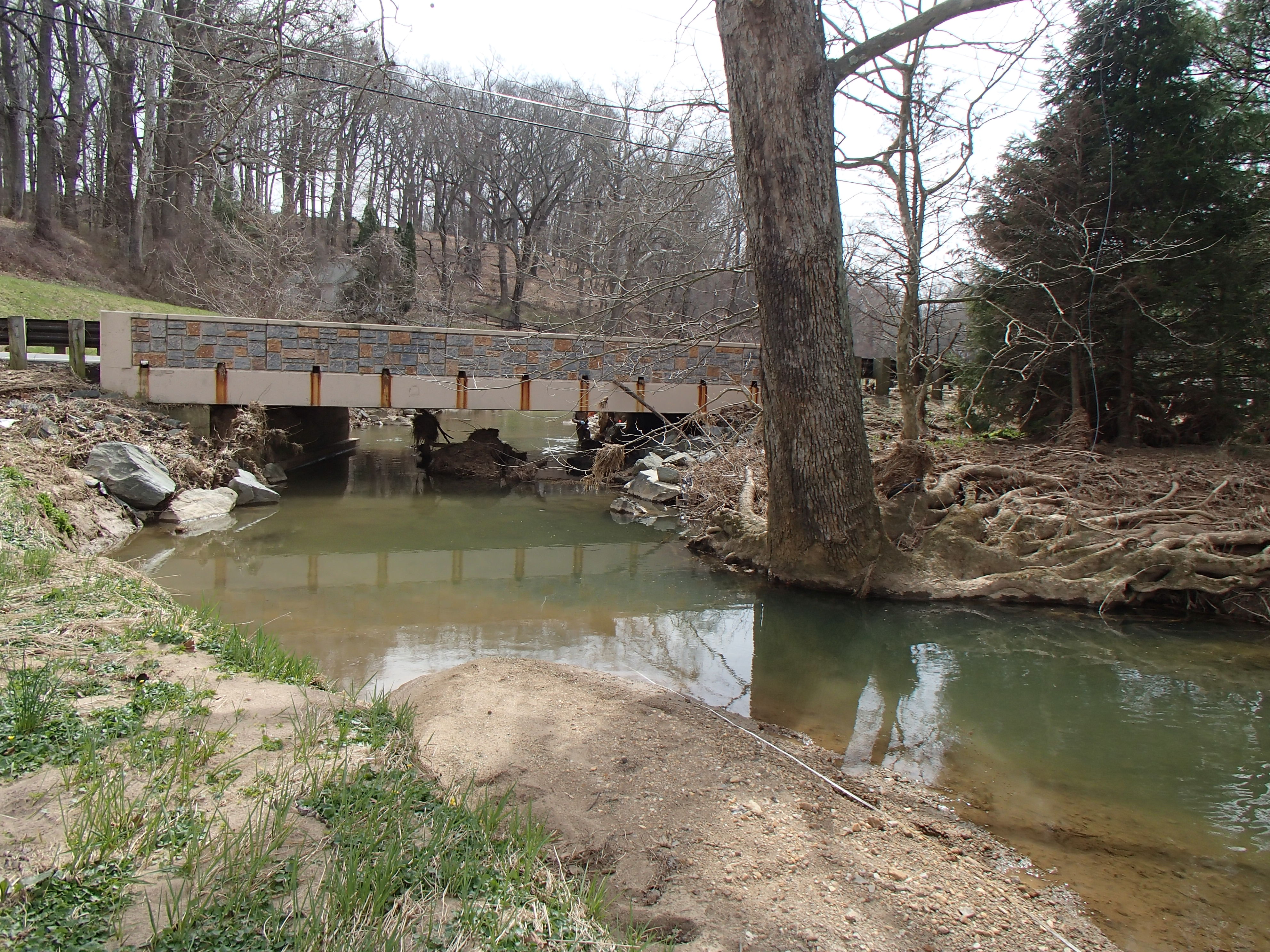 Field photo showing stream conditions at site LOGU-305-R-2016_Midpoint looking downstream